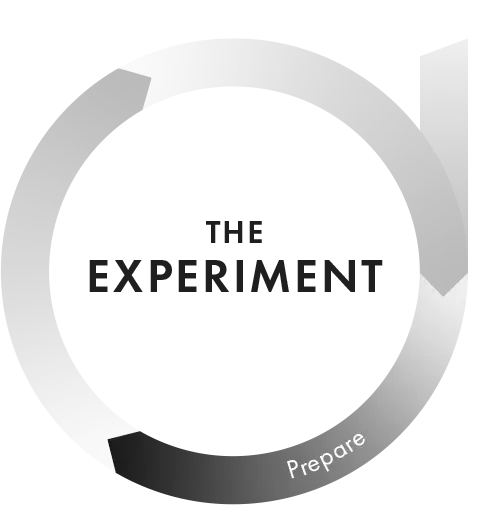 Prepare phase of the Evaluate-Prepare-Conduct loop